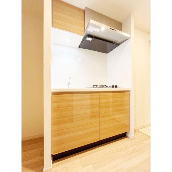 S-RESIDENCE堺浜寺axial 室内写真2