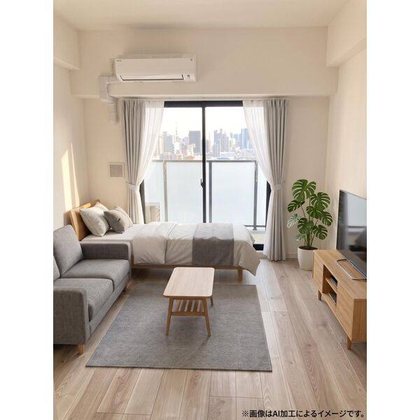 S-RESIDENCE亀島駅前ascent 室内写真1