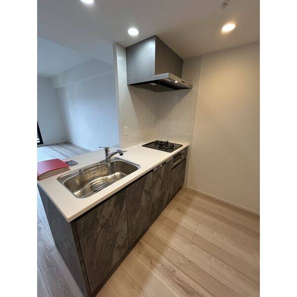 S-RESIDENCE亀島駅前blaze 室内写真5