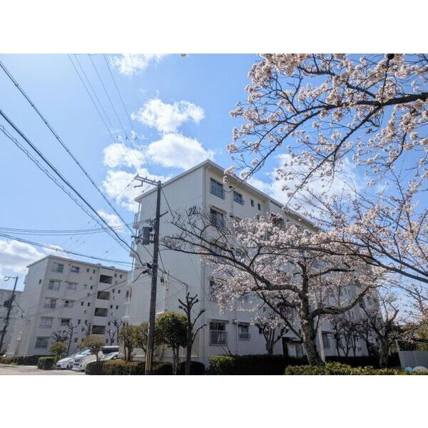 ひよどり台3団地 22号棟