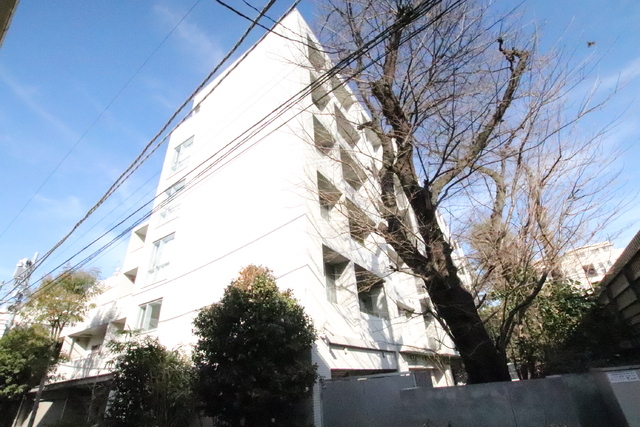 ヒルズ石神井公園ステーション 建物画像