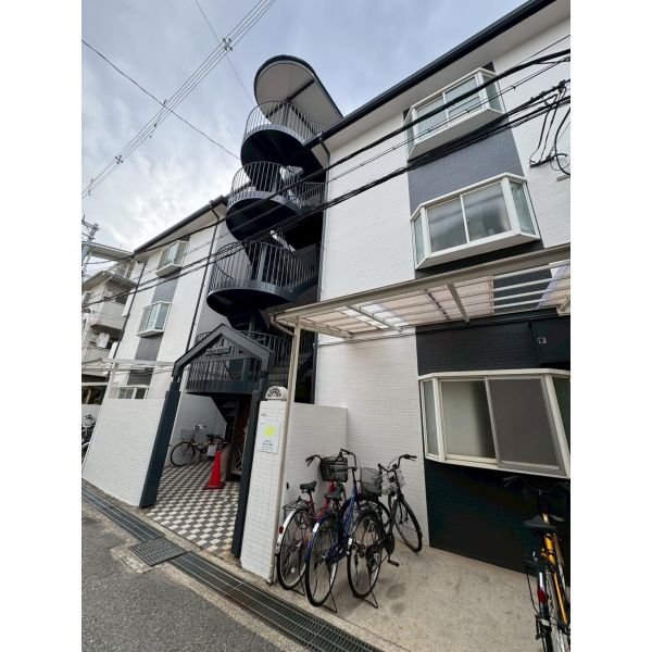 ゴールドクレスト