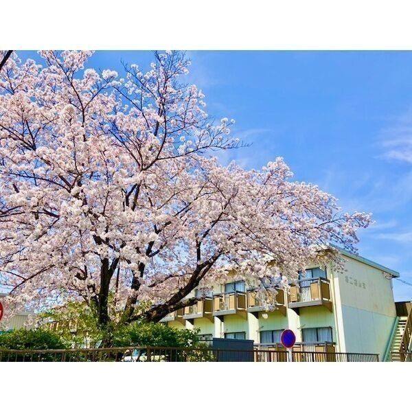 第2ユーザン 建物画像