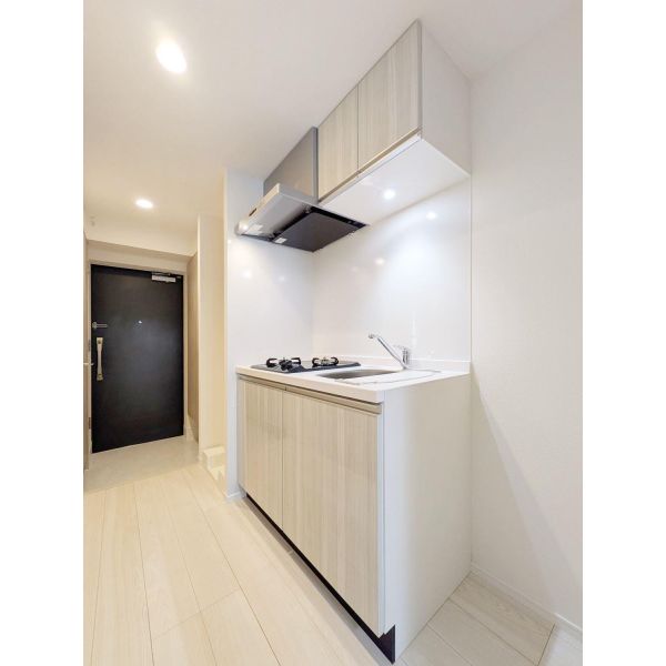 S-RESIDENCE原木中山azure 室内写真2