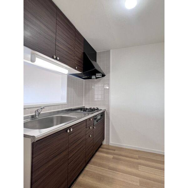 GRANDHILLS KAMINOKURA 308(Refa設置済みです!!)号室 室内写真6