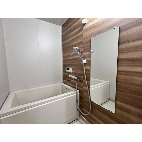 GRANDHILLS KAMINOKURA 308(Refa設置済みです!!)号室 室内写真8