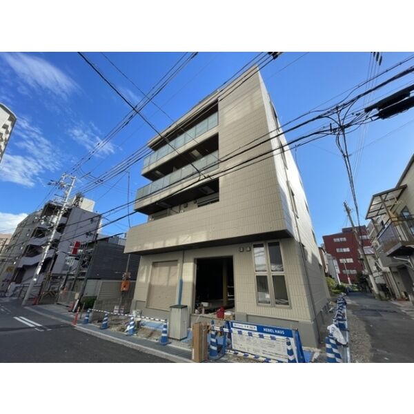 Radiant Asahidori