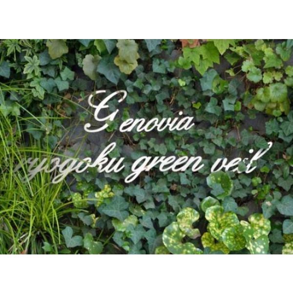 GENOVIA両国green veil 室内写真2