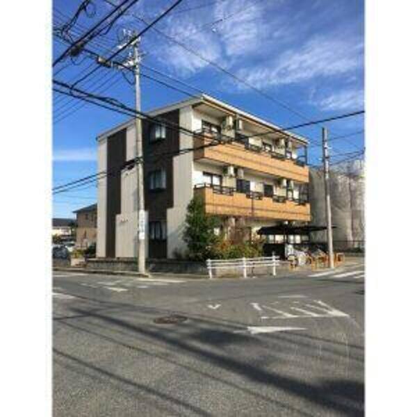 Grace　Haruoka