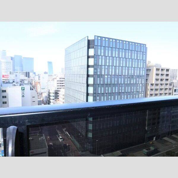 セイワパレス丸の内駅前 室内写真1