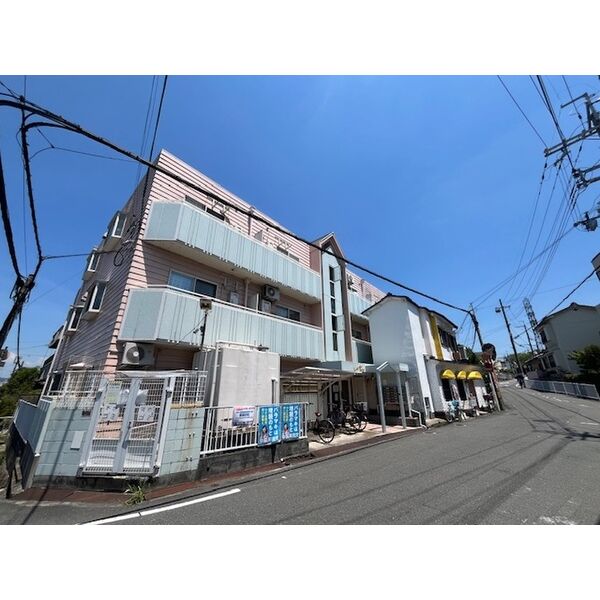 シャルマンなびか