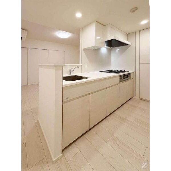 ディームス蔵前Residence 室内写真2