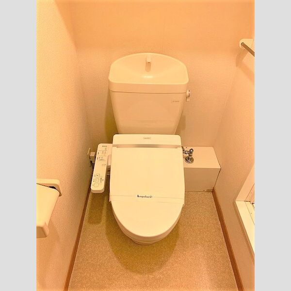 レオパレスエルフ仁川 室内写真9