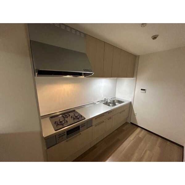 幸田マンション新深江 室内写真2