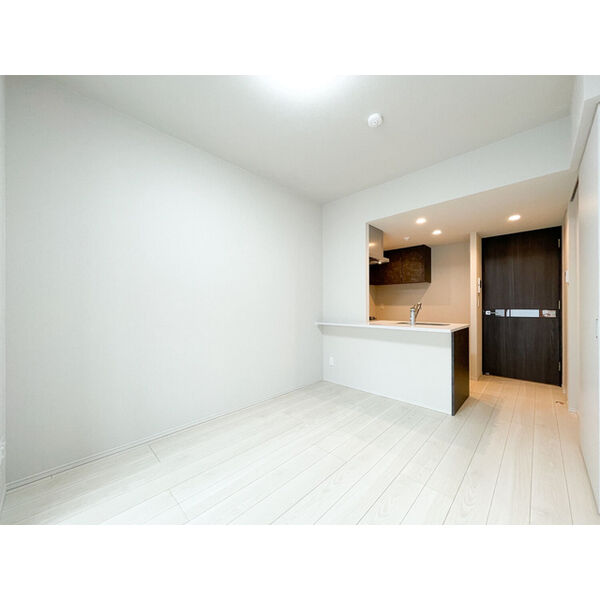 ACP Residence 錦糸町 室内写真7