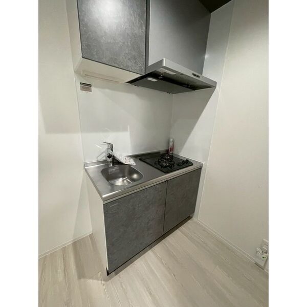 あんしん+VieM北新町13-1030 室内写真3