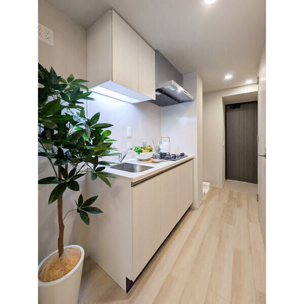 ウエリスアーバン住吉WEST 室内写真3