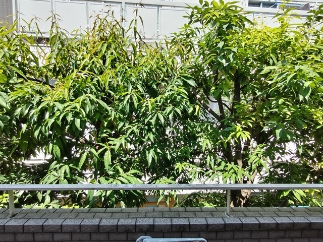 ウエルカーサ東中野 室内写真9