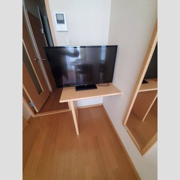 レオパレスウィング5 室内写真10