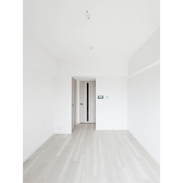 S-RESIDENCE堺湊駅前azure 室内写真4