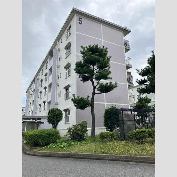 高洲三丁目住宅5号棟 建物画像