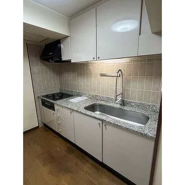 日神パレステージ西麻布 室内写真1