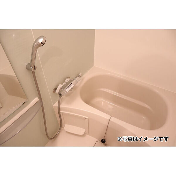 フィオーネ新小岩Ⅱ 室内写真3