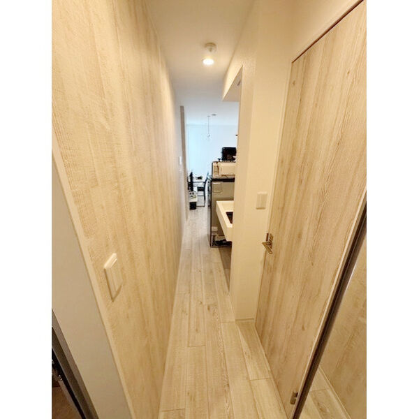 フィオーネ新小岩 室内写真9