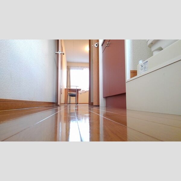 レオパレスオアシスパーク 室内写真8