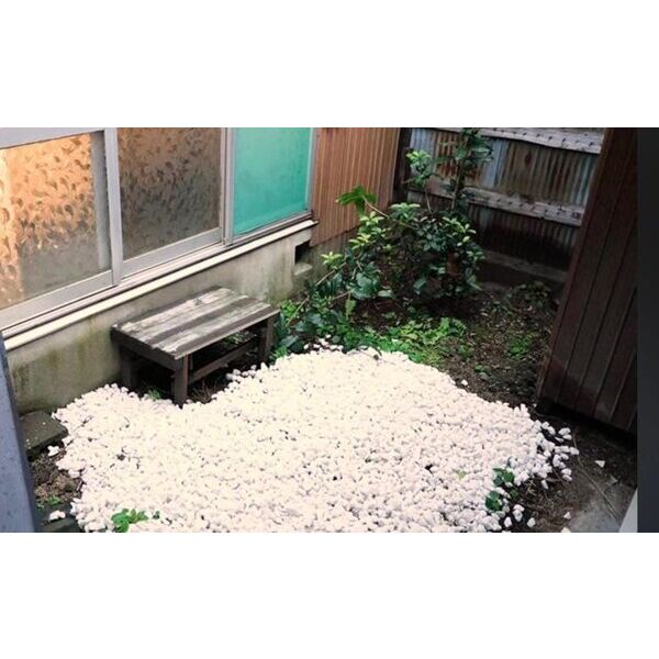 御所市新地町戸建 室内写真9