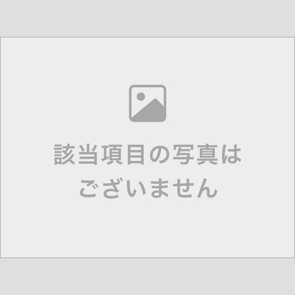 レオパレスルミエール 室内写真5