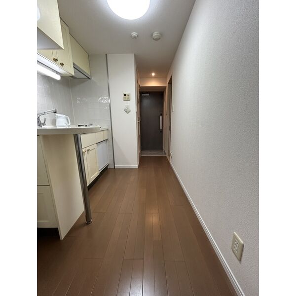 エステムプラザ梅田扇町公園パークランド 室内写真5