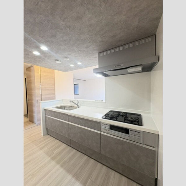 D-residence寿 室内写真10