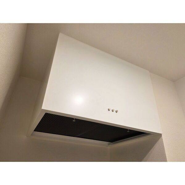Sun Plus　1 110(サロン可物件)号室 室内写真9