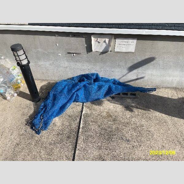 レオネクストパラシオン南明 室内写真8
