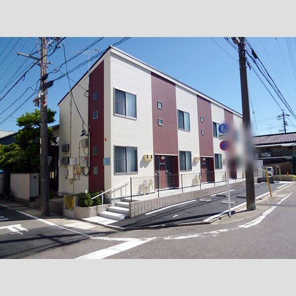 レオネクスト白菊