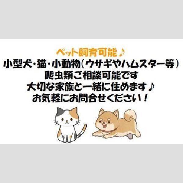 サンフォーレスト 室内写真7