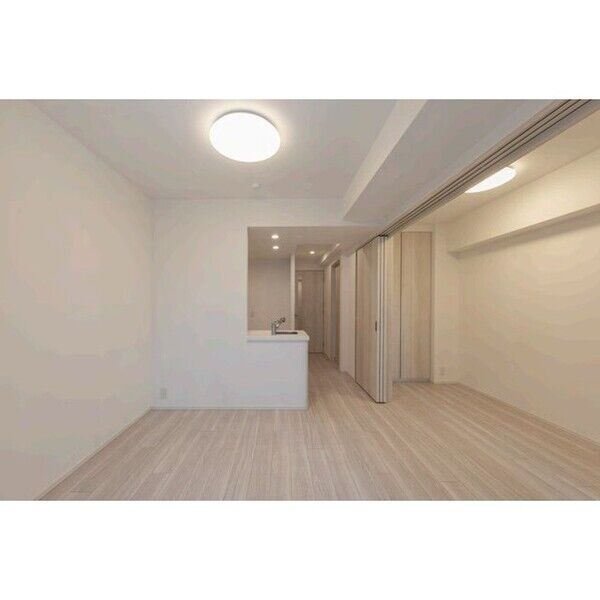 オーパスレジデンス錦糸町North 室内写真2
