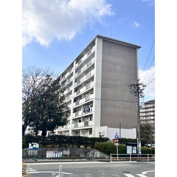 藤の木団地 7号棟 建物画像