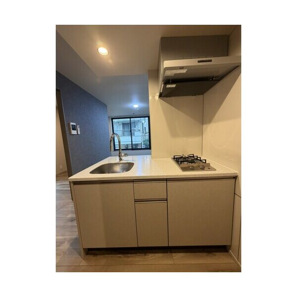 The Residence Ichigayadaimachi 室内写真5