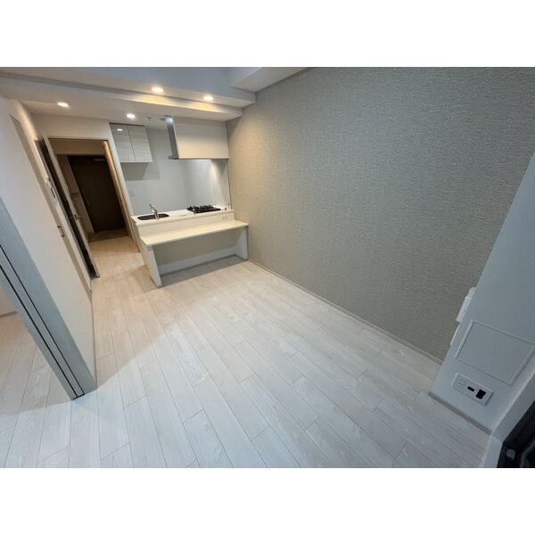 スプランディッド堺東DUE 室内写真1