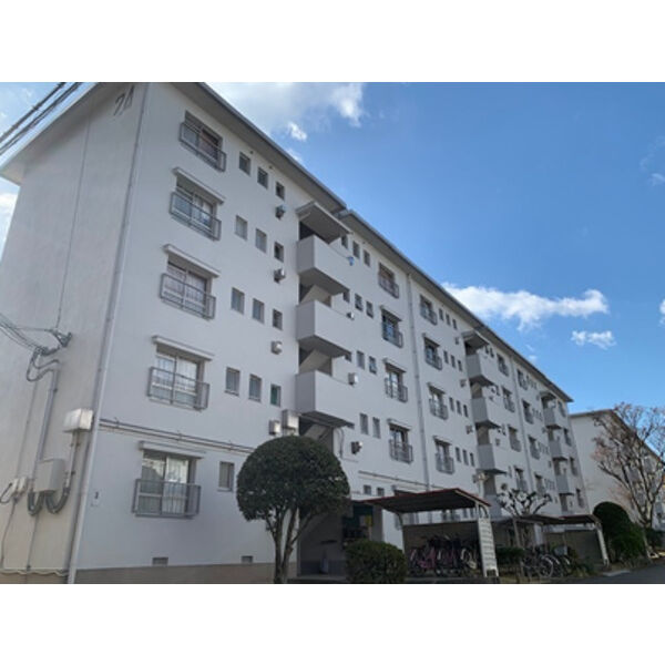 浅香山住宅5号棟 建物画像