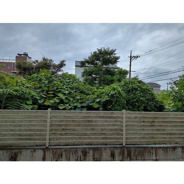 パレス忠節 室内写真7