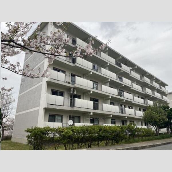 新多聞第三住宅二一一号棟 建物画像