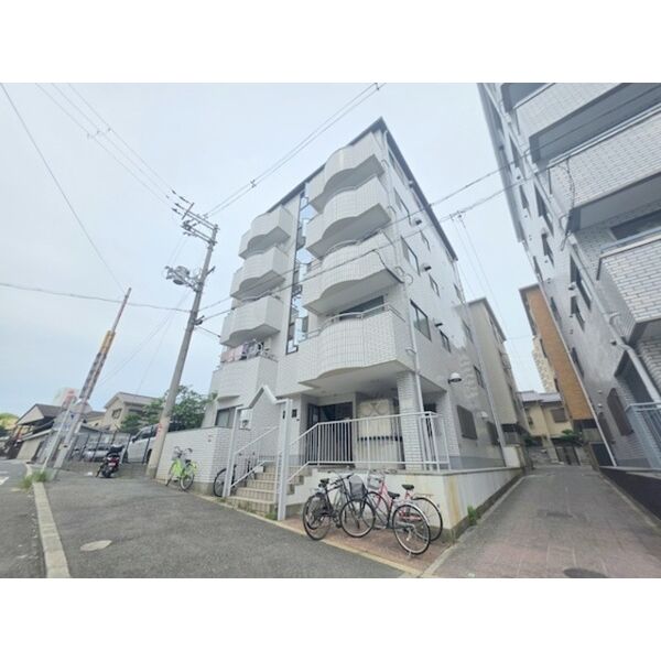 シャルマンしぎの