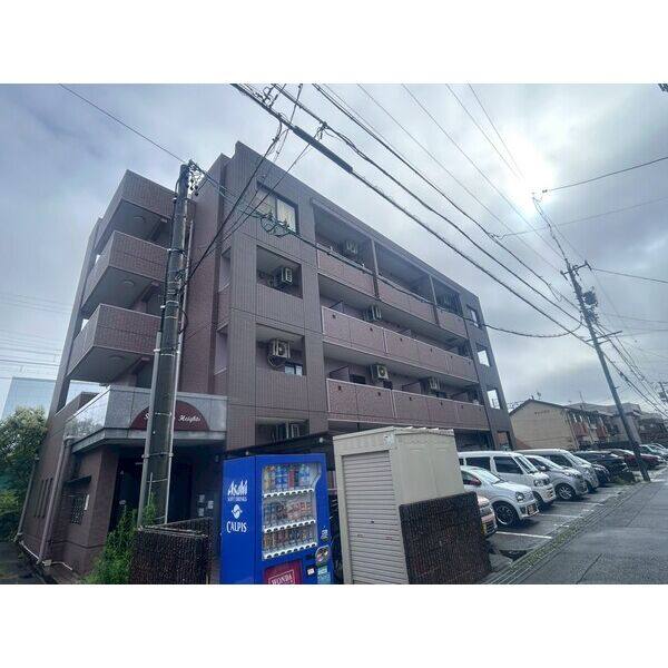 サンビューハイツ 建物画像
