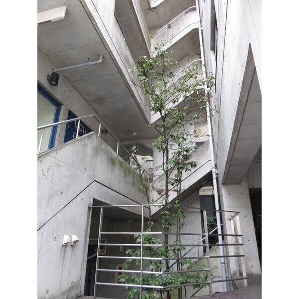 ARROW・COURT 室内写真6