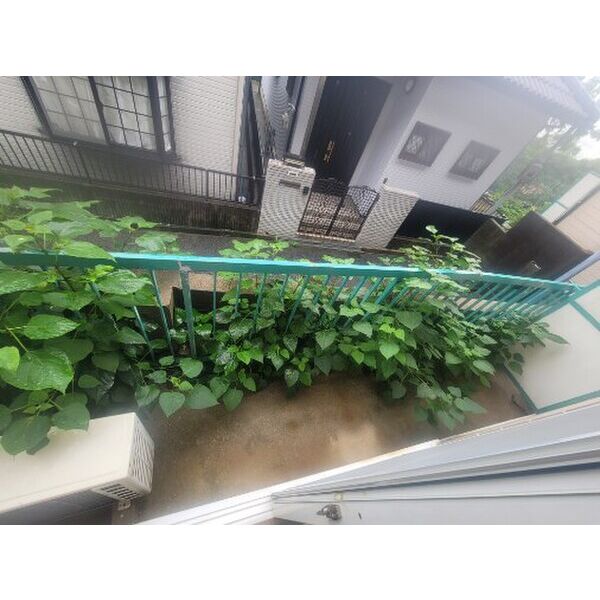 グラッツオハイツ 室内写真10