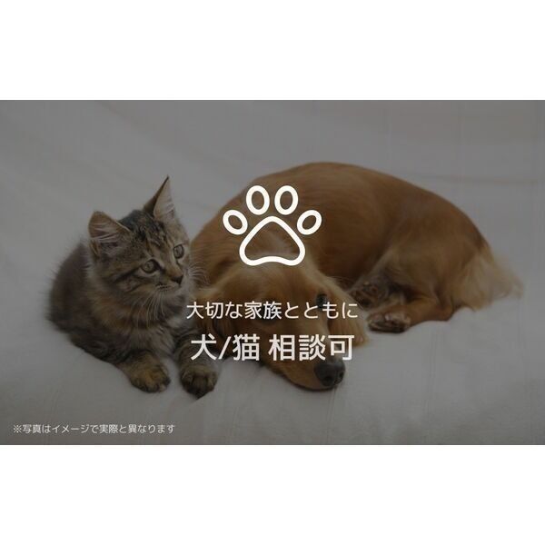 シャーメゾン シエロ 室内写真5