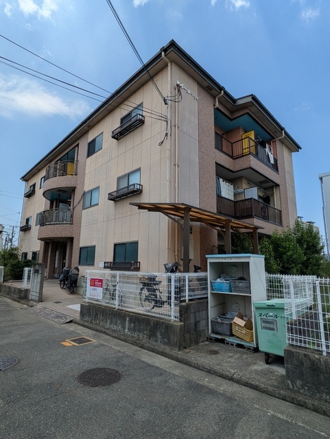 ヌベールマツイ